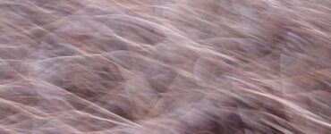 Rapresentación grafica del Viento de Levante