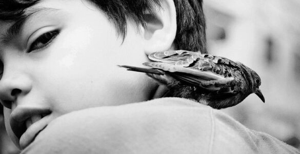 Cubierta del Poema Suicidio
