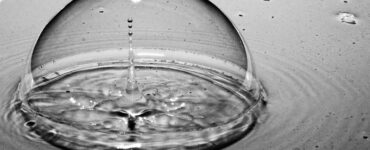 una gota cae, remueve el agua, un instante del presente queda congelado en la imágen