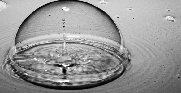 una gota cae, remueve el agua, un instante del presente queda congelado en la imágen