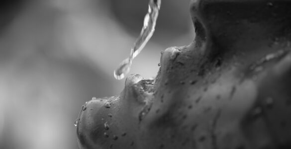 Foto en blanco y negro, un chorro de agua moja la cara de una estatua de la Virgen María. Creative Commons atribución 4.0
